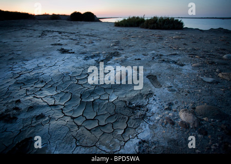 Dry lands in summer, in the Camargue Regional reserve, Arles, Southern France Stock Photo