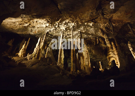 Stalagmites and stalactites in the Grottes de Han, Han sur Lesse, Wallonia, Belgium Stock Photo