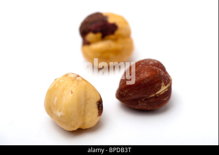 Shelled Hazel Nuts (Corylus avellana) On white Background Stock Photo
