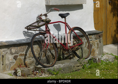 old bicycle in a garden Stock Photo