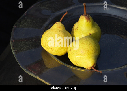 Three pears on a glass plate ripening in the sun. Stock Photo