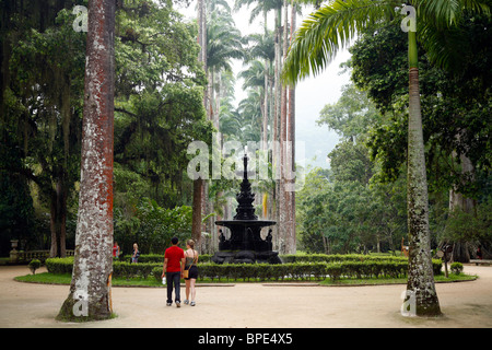 Jardim Botanico or the Botanical Gardens, Rio de Janeiro, Brazil.