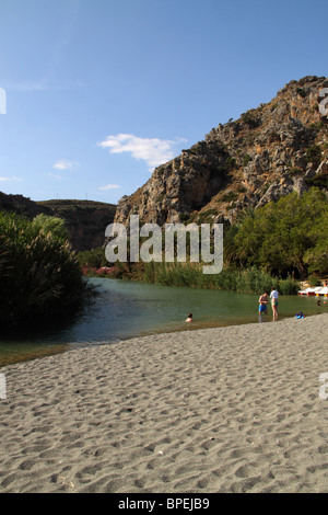 Palm Forest, Preveli Beach, Rethymno Prefecture, Crete, Greece Stock Photo