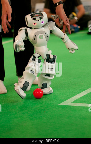 NAO Robots playing football in the science pavilion at the National Eisteddfod of Wales, Ebbw Vale 2010 Stock Photo