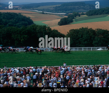 Glorious Goodwood Meeting, Sussex, UK Stock Photo