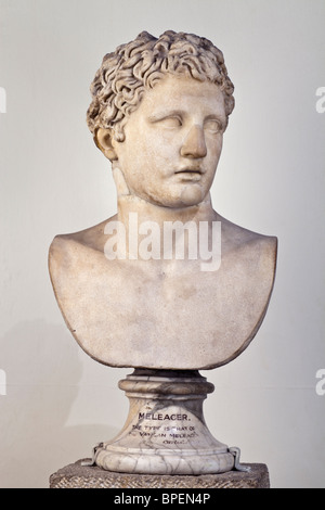 Bust of Meleager in London of the Vatican type. See description for more information. Stock Photo