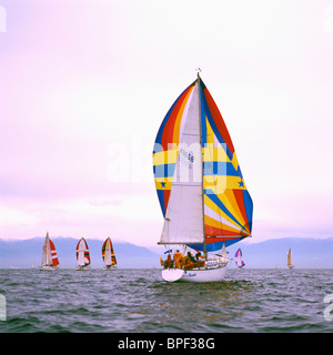 Sailing Boats sail in Race / Regatta with Spinnakers in Howe Sound near Vancouver, BC, British Columbia, Canada Stock Photo