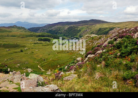 Looking down over Watendlath Tarn from Great Crags in the Lake District National park, Cumbria. Stock Photo