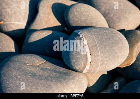 Close up of pebbles on a beach taken at sun set to give a lovely warm glow. Stock Photo