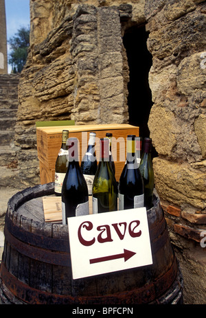 Cave du Verger des Papest, wine tasting, wine degustation, wine cellar, town of Chateauneuf-du-Pape, Vaucluse, Provence, France, Europe Stock Photo