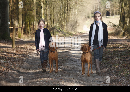 Two sisters walking their dogs in the forest, Hamburg, Germany Stock Photo