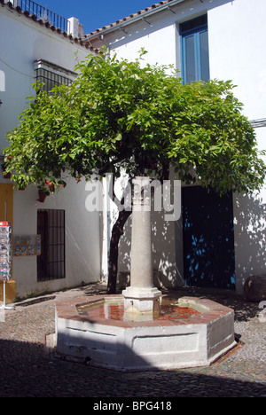 Water feature in the Street of the Flowers (Calle de las Flores), Cordoba, Cordoba Province, Andalucia, Spain, Western Europe. Stock Photo