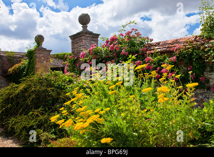 Herbaceous perennial border of summer flowers in a walled English country garden in Berkshire, England, UK Stock Photo