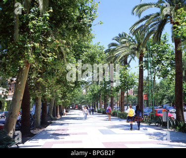 Paseo del Parque, Malaga, Costa del Sol, Malaga Province, Andalusia, Spain Stock Photo