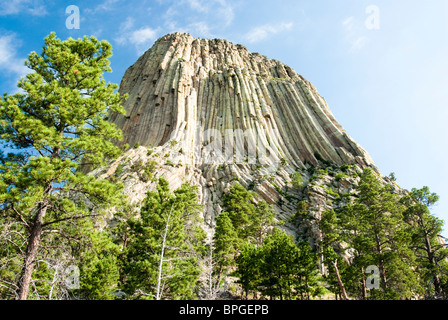 View from the Tower Trail of Devils Tower in the Black Hills of Wyoming. Stock Photo