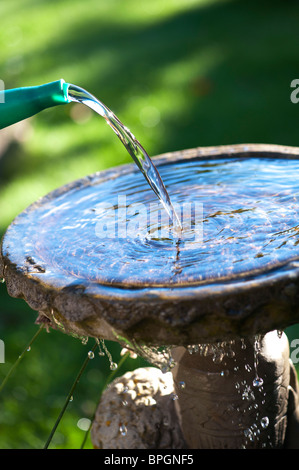 Pouring water into a birdbath Stock Photo