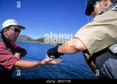 Hunting. happy fishermen friendship. Catching and fishing. Two male friends  fishing together. retired dad and mature bearded son. fly fish hobby of men  in checkered shirt. retirement fishery Stock Photo by ©stetsik
