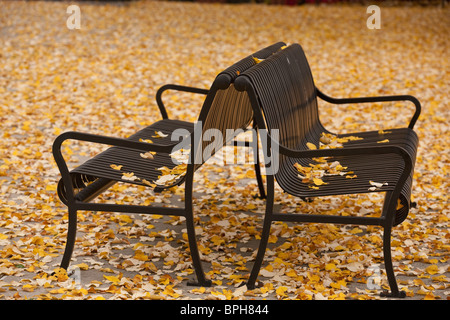 Fallen leaves on benches, Boston, Suffolk County, Massachusetts, USA Stock Photo