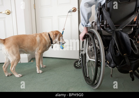 Service dog door wheelchair hi res stock photography and images Alamy