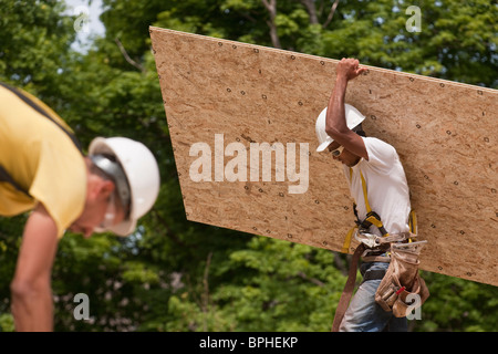 Carpenters carrying a particle board Stock Photo