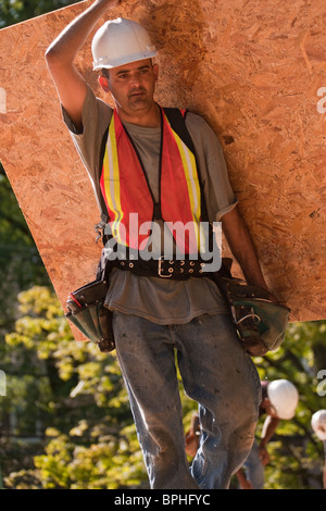 Carpenter carrying a particle board at a construction site Stock Photo