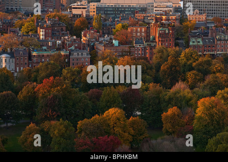 Autumn trees in a park, Boston, Suffolk County, Massachusetts, USA Stock Photo