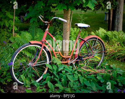 Red bike leaning against tree Stock Photo