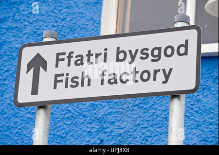 Bilingual Welsh English language sign for FISH FACTORY in the seaside town of New Quay Ceredigion West Wales UK Stock Photo