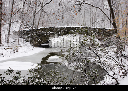 Forest and stream after a winter snowfall Stock Photo - Alamy