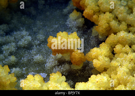 February 10, 2008 - Dallol geothermal area, Danakil Depression, Ethiopia. Stock Photo