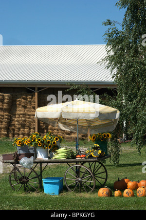 Farmer's roadside stand on rural road. Stock Photo