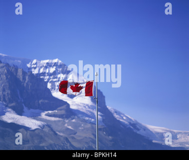 Canadian Flag, Alberta, Canada Stock Photo