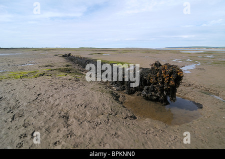Keel of a wrecked ship, Appledore, Devon, UK Stock Photo