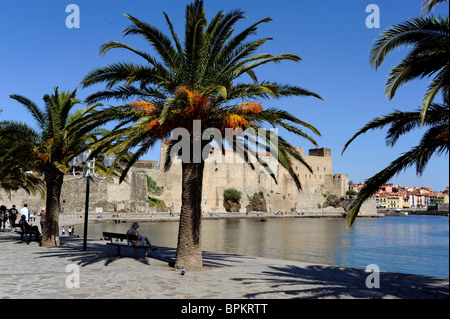 Collioure castle near Perpignan,Pyrenees-Oriental,France Stock Photo