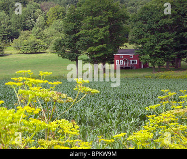 Ellicottville, New York State, USA Stock Photo