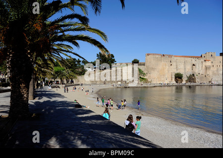 Collioure castle near Perpignan,Pyrenees-Oriental,France Stock Photo