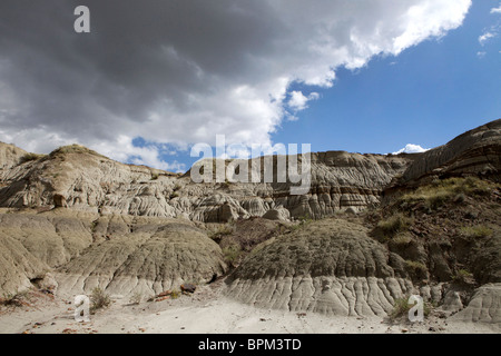 Strange landscape of the badlands in Dinosaur Provincial Park, a UNESCO World Heritage Site in the Red Deer Valley, Alberta. Stock Photo