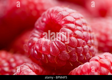 Ripe raspberries. Close-up shot. Stock Photo