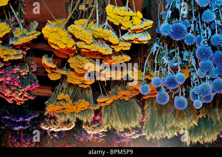Dried flowers hanging from ceiling in small cottage dining ...