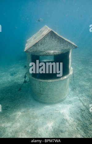 The worlds only , with letter box, about 20 meters of Hideaway island