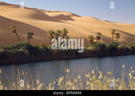 Mandara Lakes in the dunes of Ubari, oasis Um el Ma, libyan desert, Libya, Sahara, North Africa Stock Photo