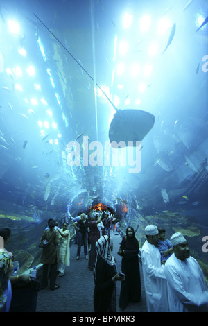 People inside Dubai Aquarium and Underwater Zoo inside Dubai Shopping Mall, Dubai, UAE, United Arab Emirates, Middle East, Asia Stock Photo