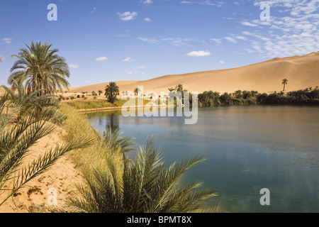 ubari oasis desert lakes libyan um el ma libya mandara dunes sahara alamy africa north lake palm trees