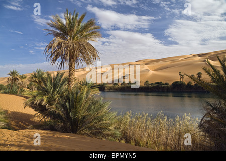 Mandara Lakes in the dunes of Ubari, oasis Um el Ma, libyan desert, Libya, Sahara, North Africa Stock Photo