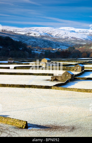 View of Stone Barns on a Winters Day, Swaledale, Yorkshire Dales Stock Photo