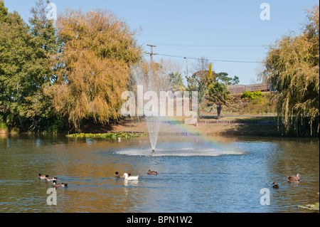 Fountain with a small rainbow in Gilmour Reserve, a local park close to SH2 in Waihi, New Zealand Stock Photo