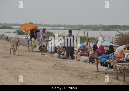 Flood victims living on the only dry areas in Sujawal, Sindh Province, Pakistan on Wednesday, 1st September, 2010 Stock Photo
