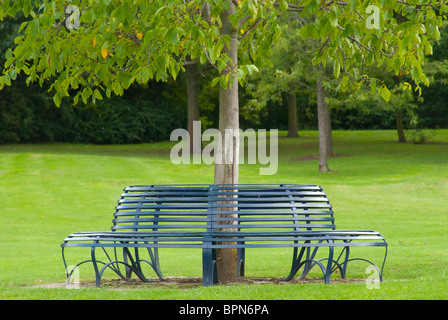 Circular Bench around a Tree Stock Photo