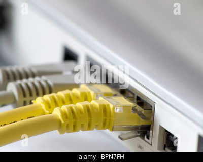 network cables plugged in the router, closeup image with shallow DOF Stock Photo