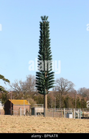 A mobile Phone Mast disguised as a tree, Picture by James Boardman. Stock Photo